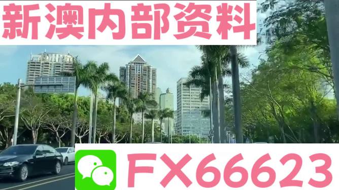 桐城_新澳2025芳草地资料大全,声罪致讨调查仔细释义、解释与落实